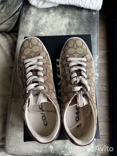 Кеды женские coach оригинал