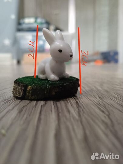 Формикарий муравьиная ферма