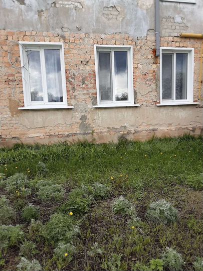 1-к. квартира, 31,7 м², 1/2 эт.