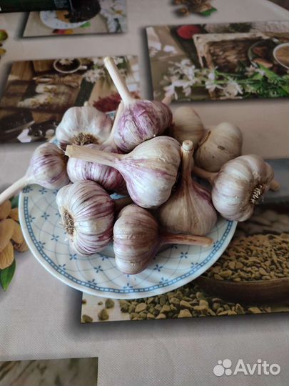 Помидоры со своего участка