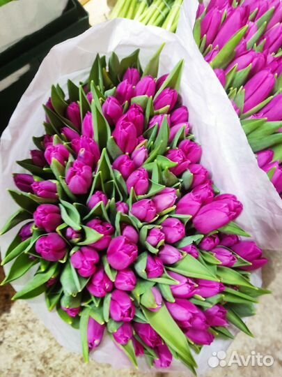 Тюльпаны к 8 марта готовые букеты