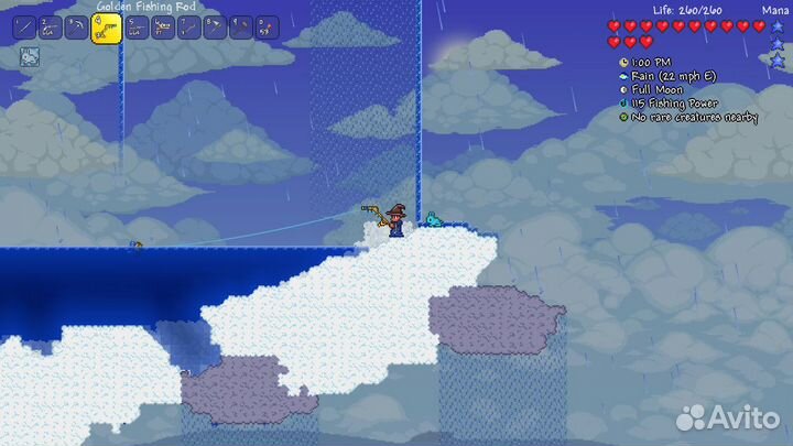 Terraria / Террария (Steam)