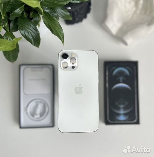 iPhone 12 Pro, 512 ГБ