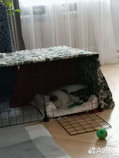 Клетка для животных