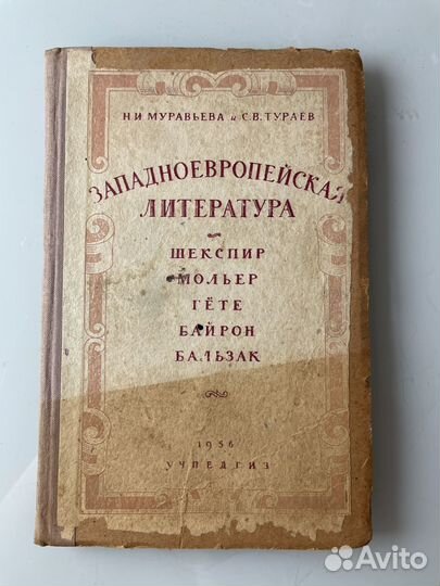 Муравьева Тураев 