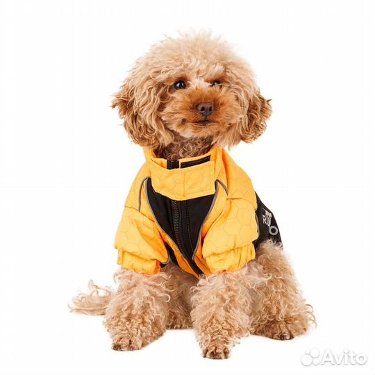 Жилетка для собак rungo