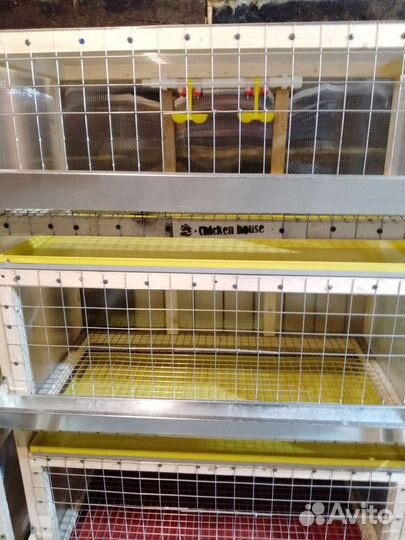 Клетка 2х ярусная для кур несушек