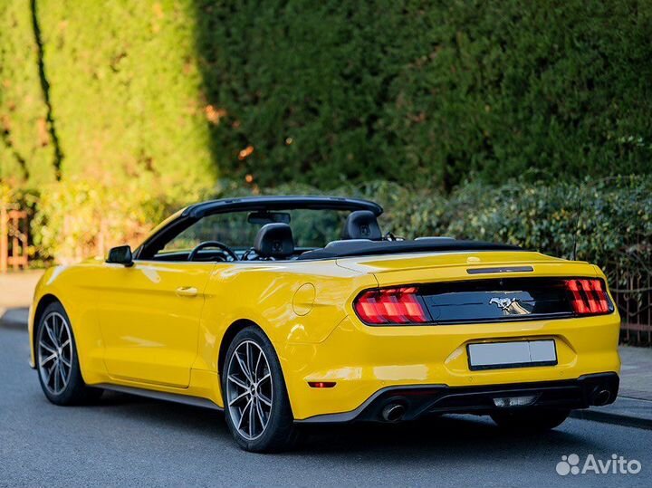 Прокат Ford Mustang кабриолет Сочи Адлер Сириус