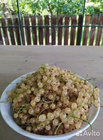 Свежезамороженные ягоды