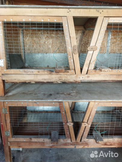 Клетки для кроликов