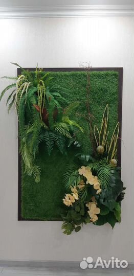 Фитокартина из искуссьвенных растений
