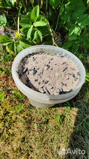 Зола древесная