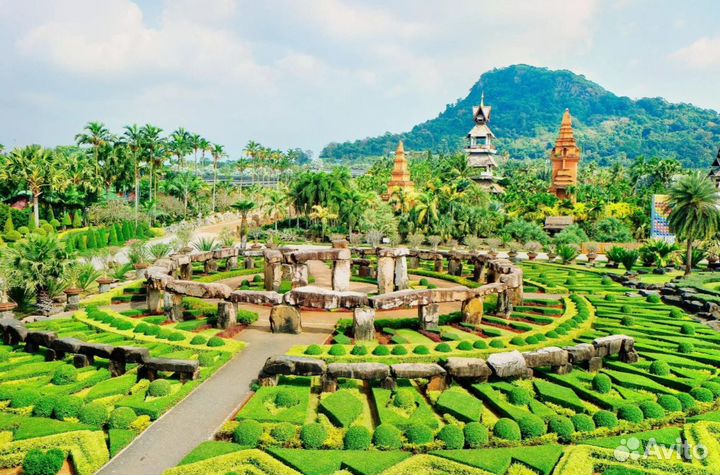 Тур в Паттайю девять дней завтрак