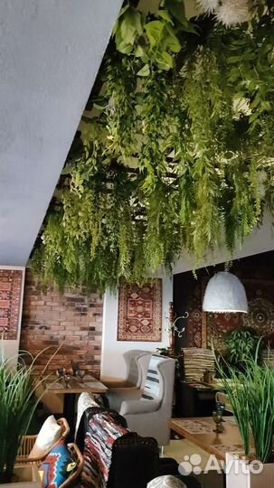 Фитостена. Услуги по изготовлению фитостен