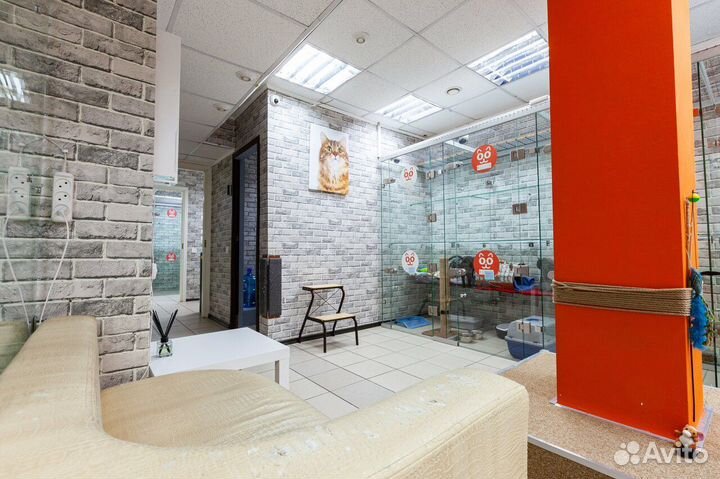 Зоогостиница, гостиница для животных, кошек