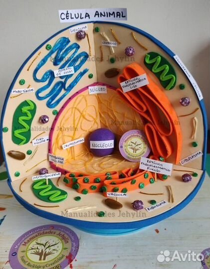 Репетитор по биологии и химии