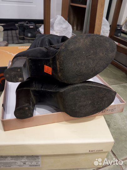 Сапоги женские осенние