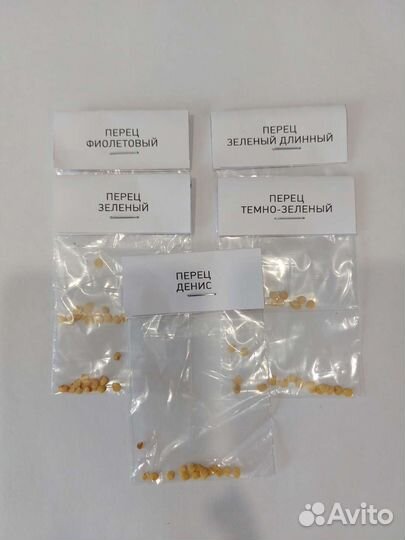 Семена Алтайских перцев