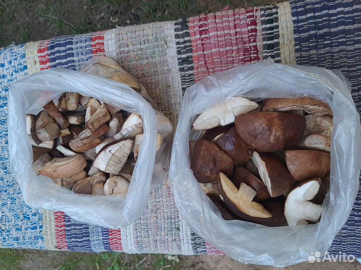 Грибы Белые и Боровики свежее- замороженные