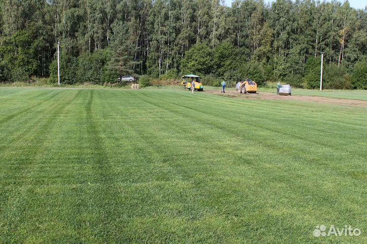 Укладка и продажа газона