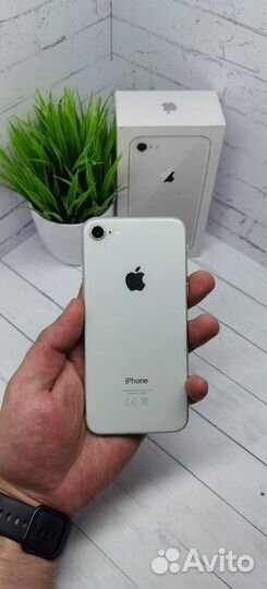 Apple iPhone 8 64Gb white
