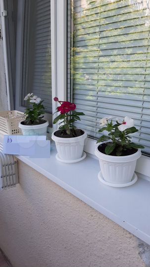 2-к. квартира, 48 м², 3/5 эт.