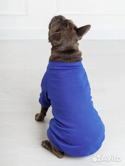 Одежда для собак и кошек