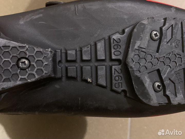 Горнолыжные ботинки