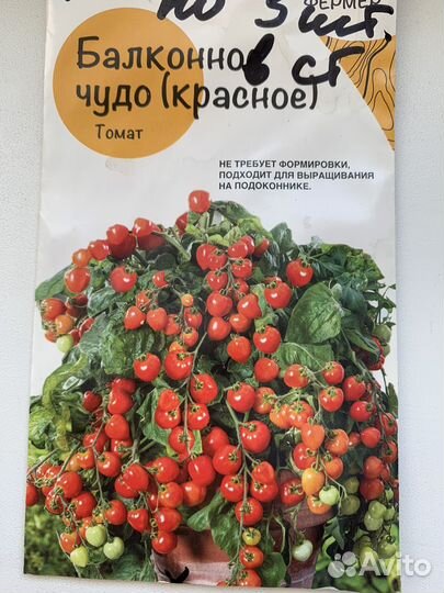 Рассрада для зимнего огорода на подоконнике