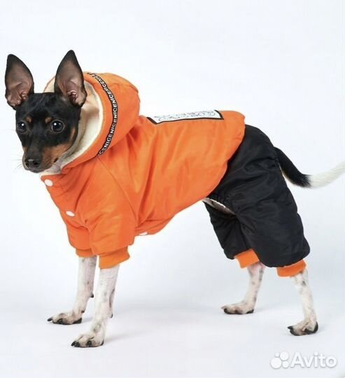 Зимний комбинезон новый для мелких пород собак