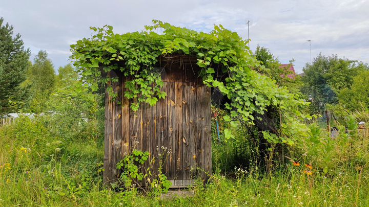 Дача 33 м² на участке 10 сот.