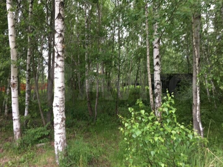 Участок 6 сот. (СНТ, ДНП)