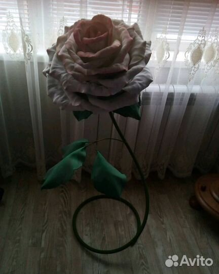 Роза напольная