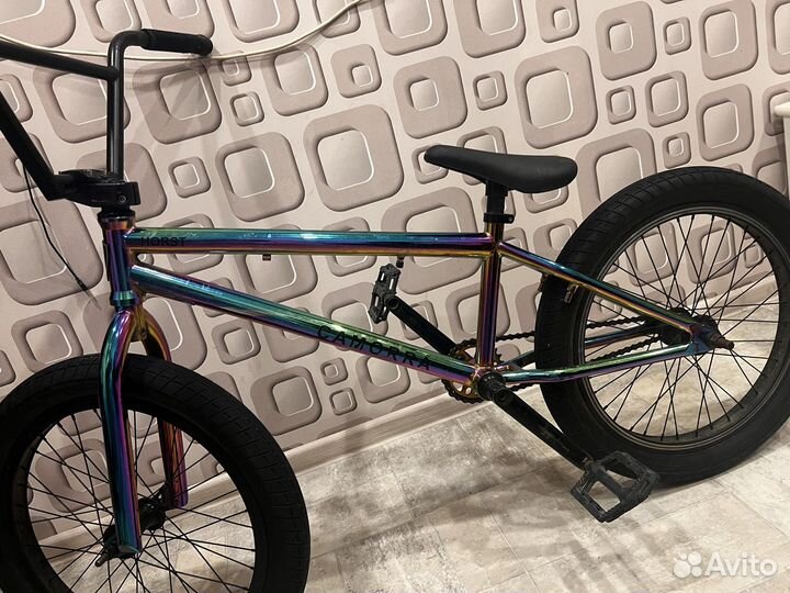 Bmx horstcamorra