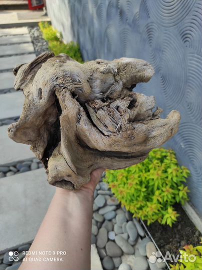 Уникальные коряги для ваших цветочных композиций