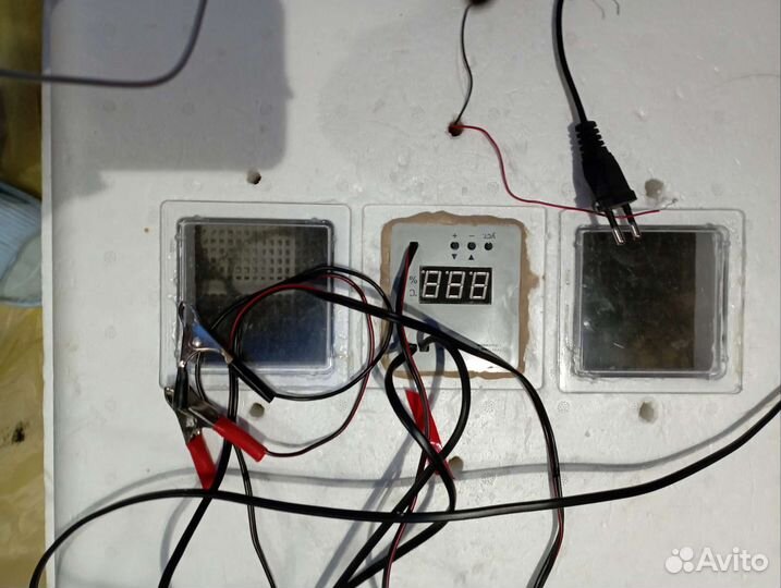 Инкубатор для яиц автоматический бу