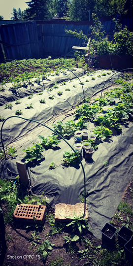 Дом 80 м² на участке 9 сот.