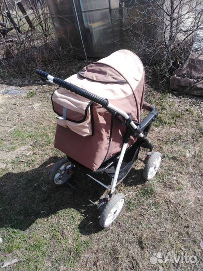 Коляска adamex amelia