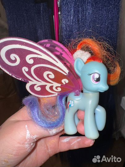 Деш крылатка редкая