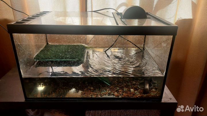 Аквариум для красноухой черепахи