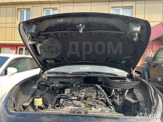 Ноускат FX35 infinity