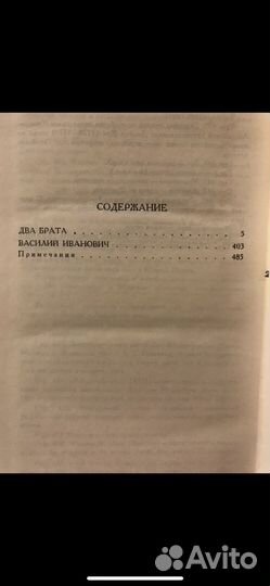 Станюкович К.М. Два брата, Василий Иванович