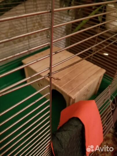 Клетка для грызунов