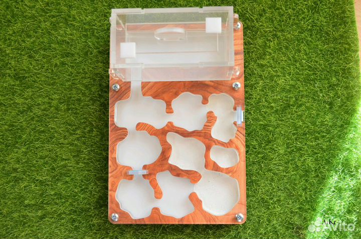 Муравьиная ферма с муравьями. Формикарий Старт+