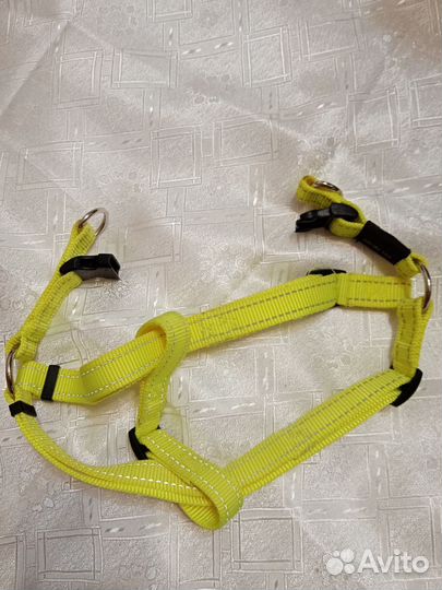 Шлейка для собаки