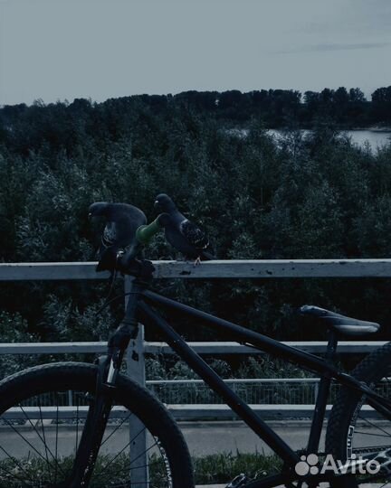 Mtb street dirt 26