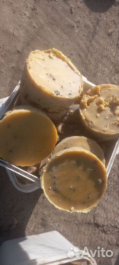 Воск пчелиный продам