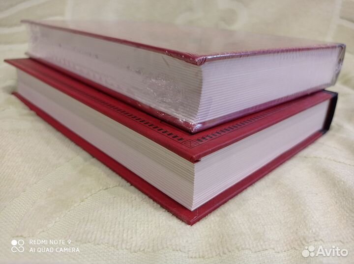 Записки о Шерлоке Холмсе, бисс