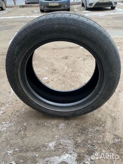 Maxxis Victra M-36 205/55 R16