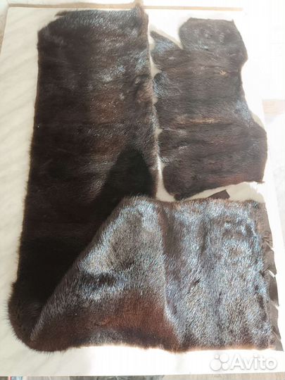 Шкурки норки